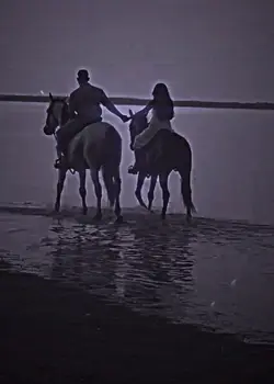 Xhani