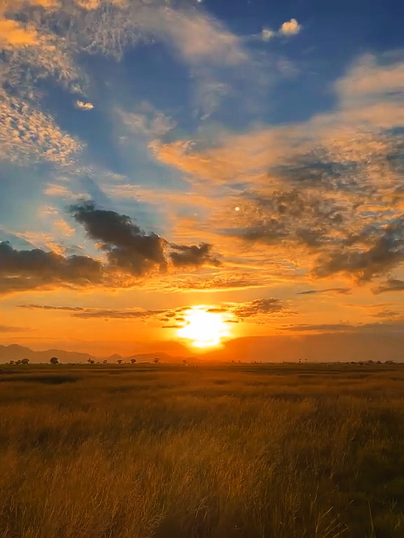 sunset fotolive