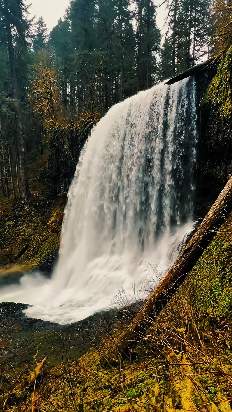 Nature • Cinematic