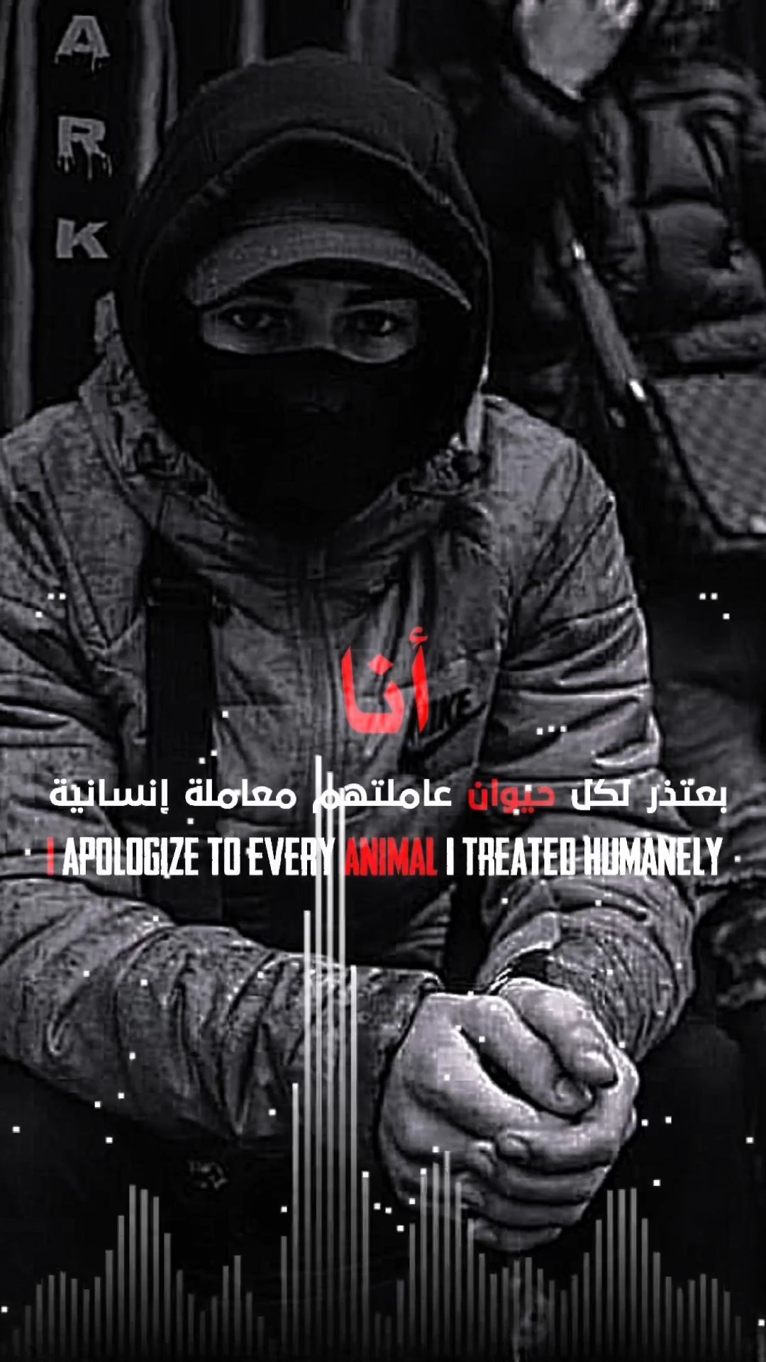 قالب عربي نارر