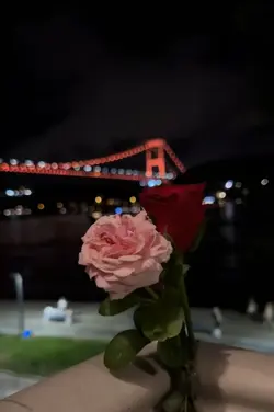 viral videoss