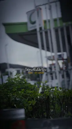 ตอผุด