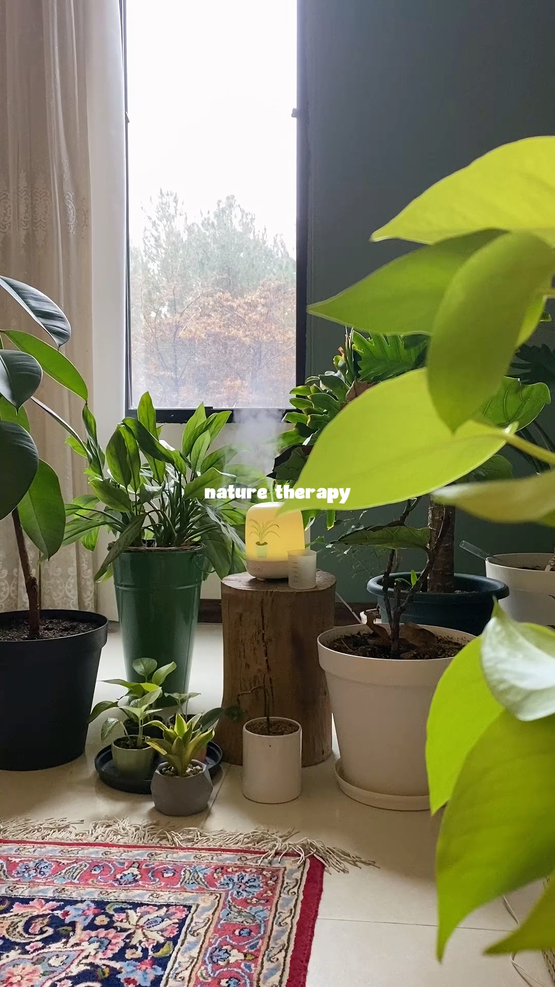 Natürliche Therapie🍀