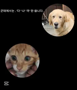 훈련병