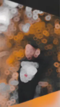 Viral Hit Slowmotion