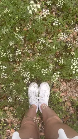 flowers 🌸