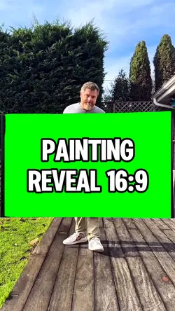 PAINTING REVEAL