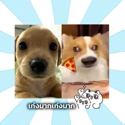 นปโปะหม่ำๆ