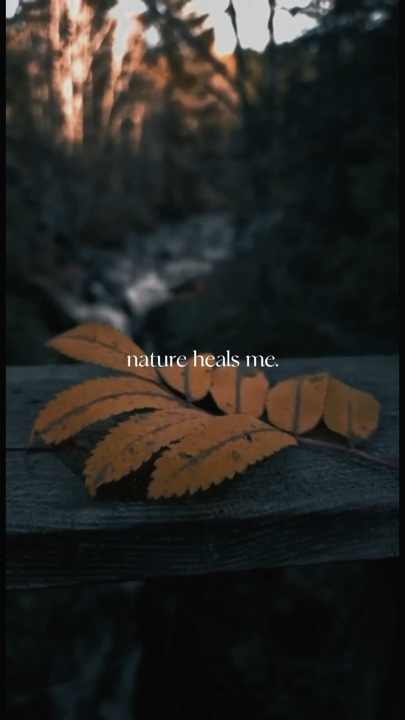 NATURE 2 VIDEOS