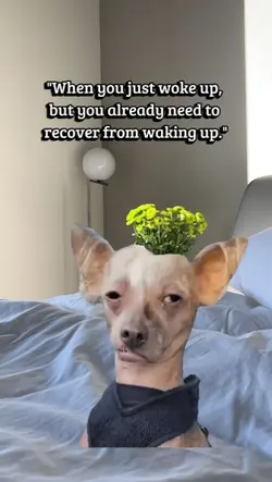 need to recover