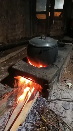 pil murni 8 putaran