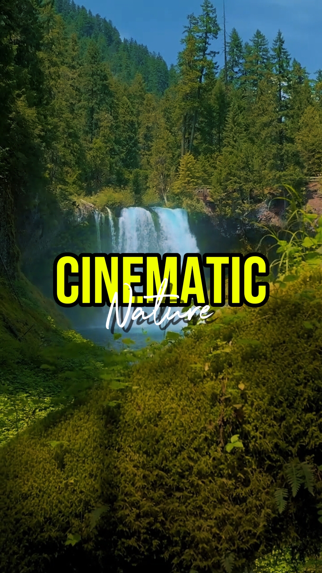 CINEMATIC