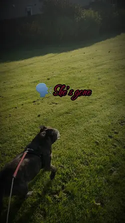 Where’s Cleo? 💔🕊️