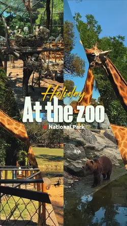 Holiday - at the zoo