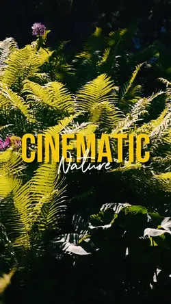 CINEMATIC NATURE