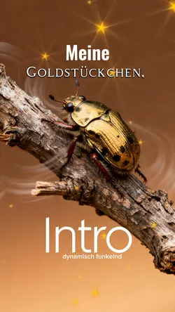 Maikäfer Gold Intro