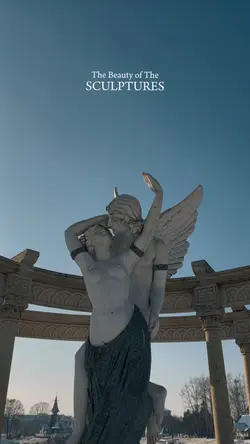 The sculptures art