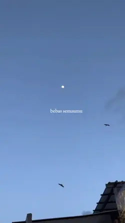 bergema sampai selam