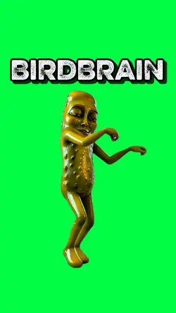 BIRDBRAIN PICKLE