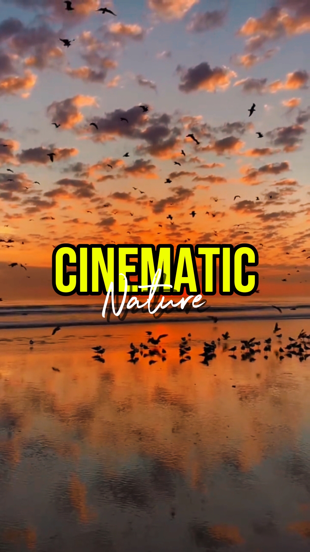 CINEMATIC NATURE