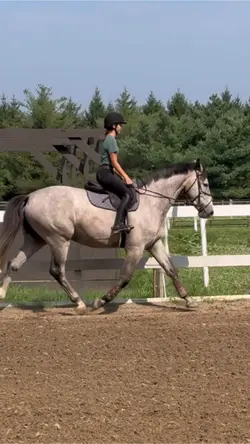 Extended trot 🔥💙😍