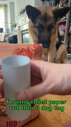 DIY dog toy