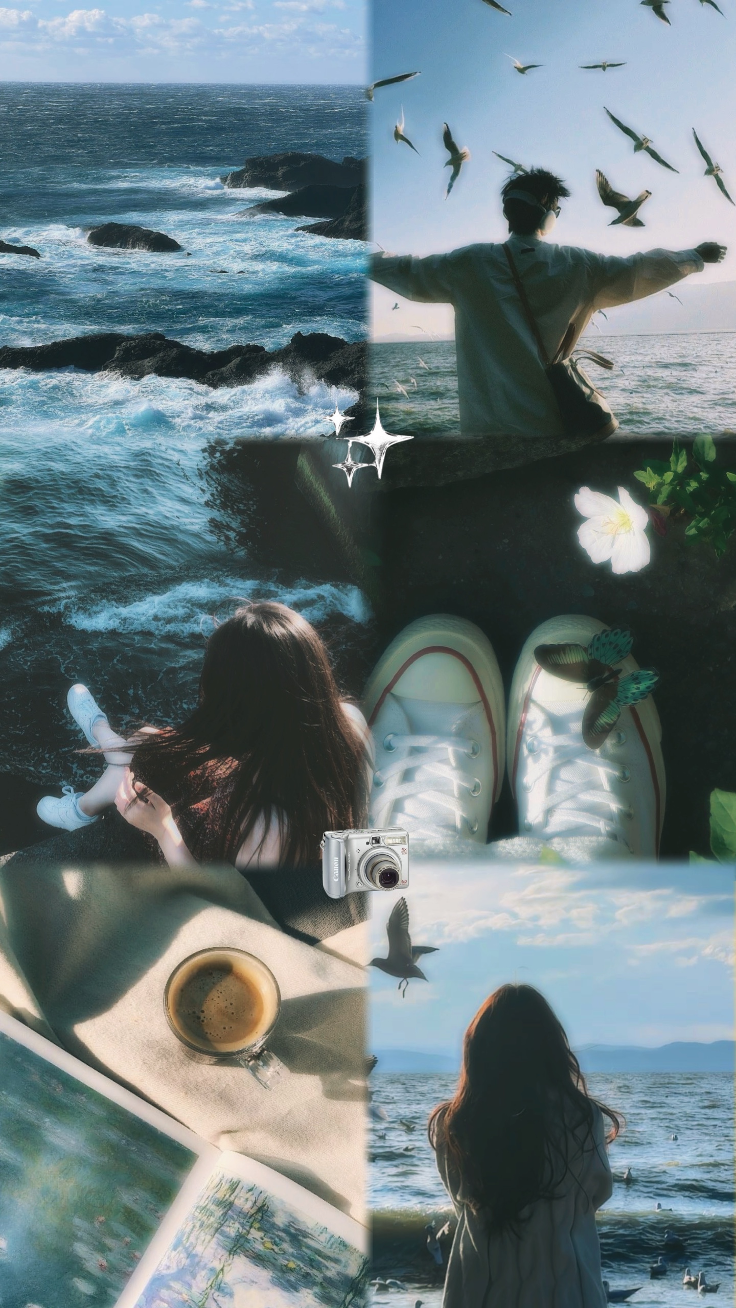 Seis fotos 