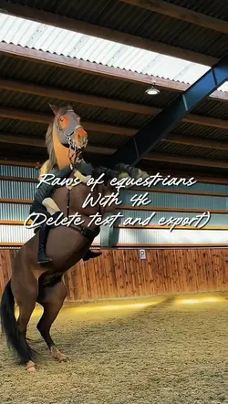 Equestrian raws
