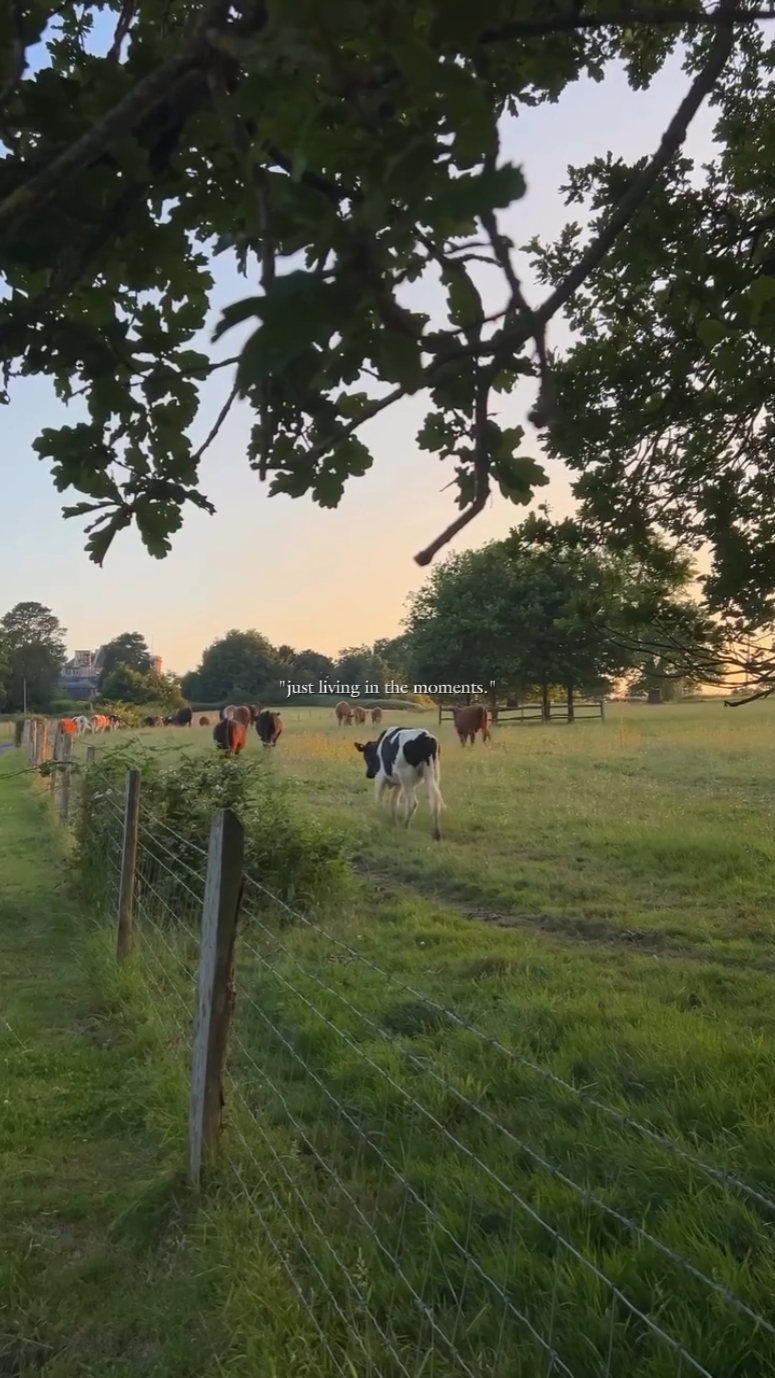 country vibes