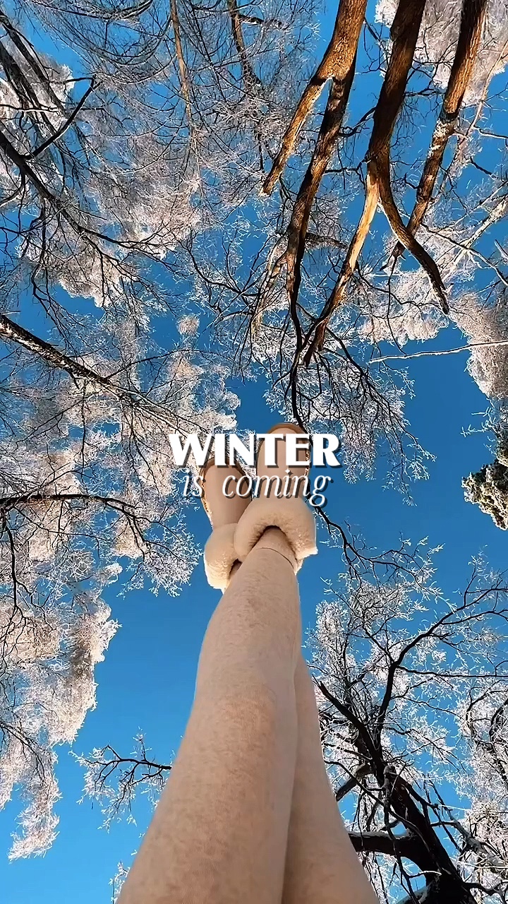 O INVERNO está chegando 