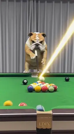 BULDOGUE SNOOKER 