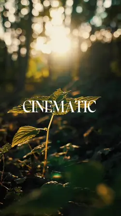 CINEMATIC 