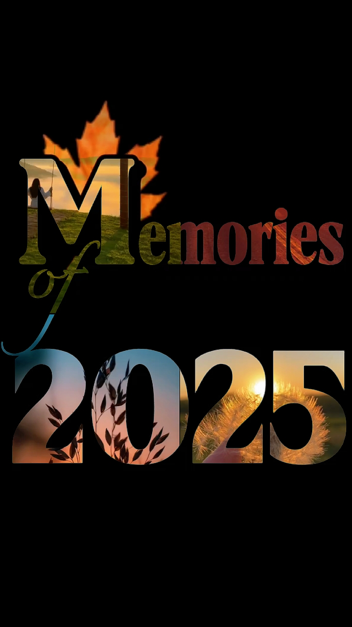 Memories of 2025