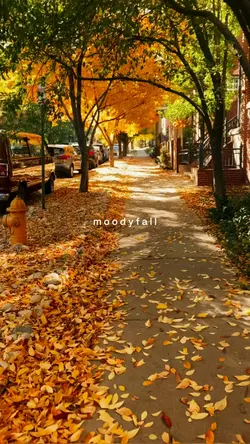 moodyfall