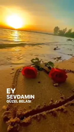 Özledim seni