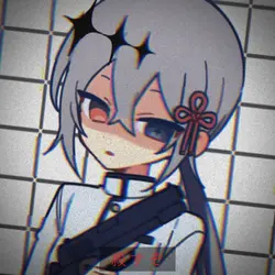 俺に銃を向けるな