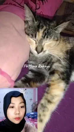 untuk video reaction