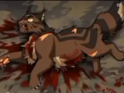 Jakiś szablon z wojo