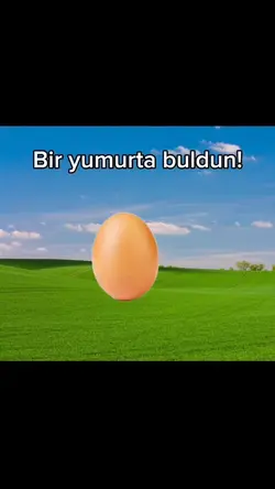 YUMURTA BULDUN? 