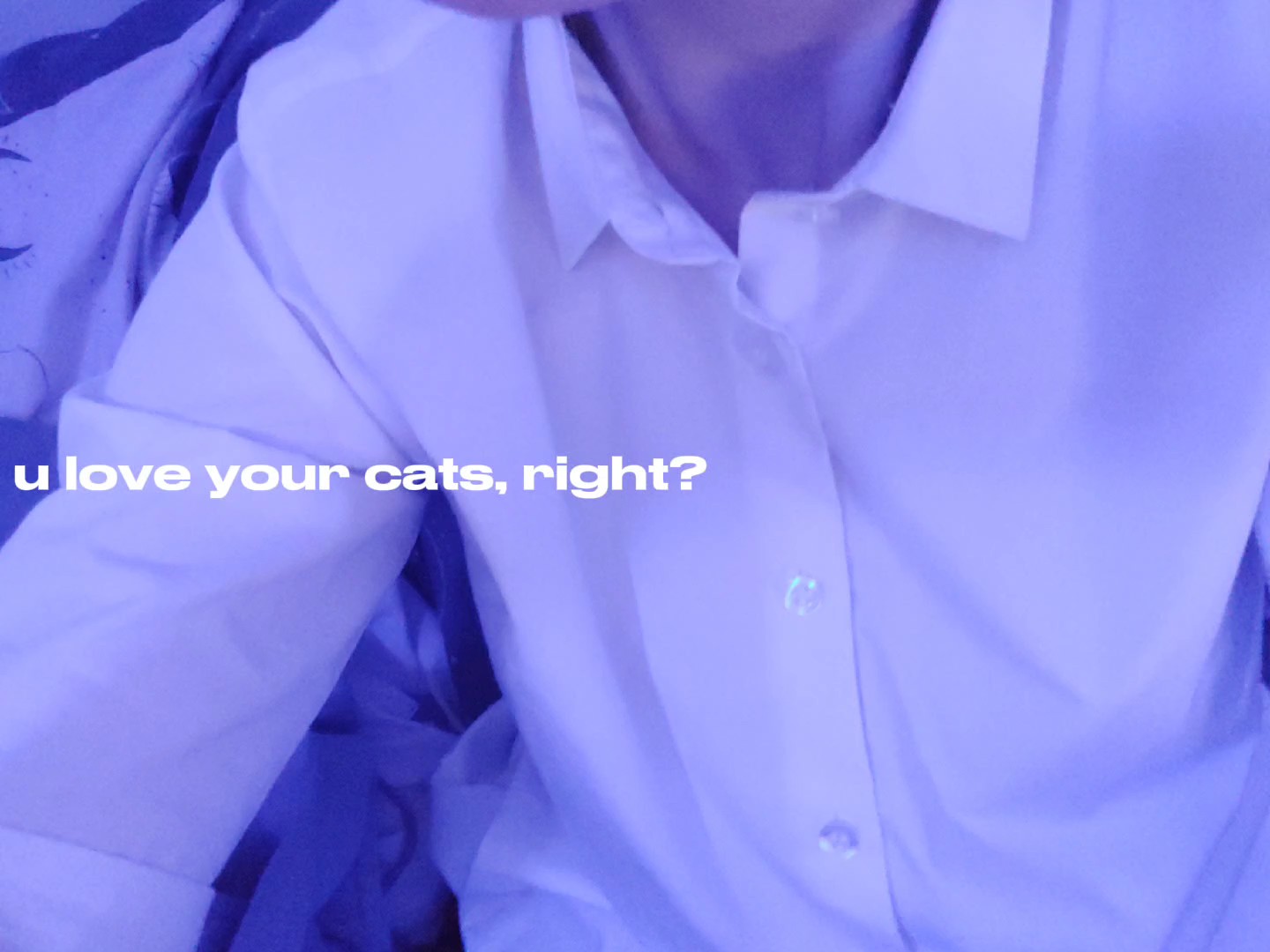 u love ur cats right