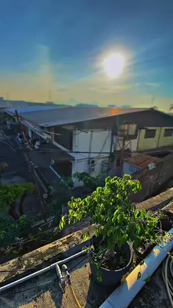 FILTER JERNIH IPHONE