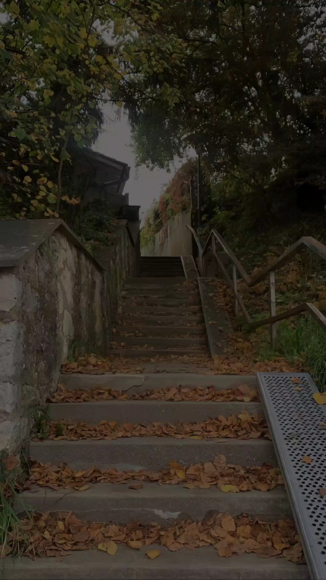 لقد اعطيتك قلبي 