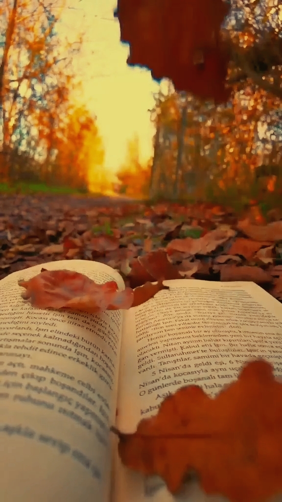 Saison d'automne