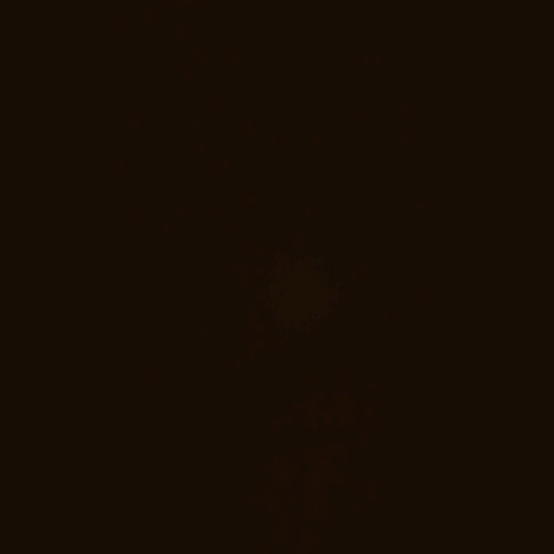 ALL ALONE