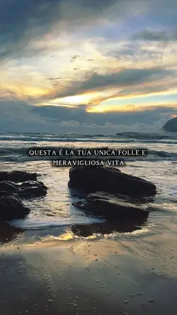 Amore vita