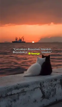 Keşke Büyümesek