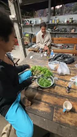 ใบสาระแน