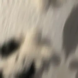 Free audio pt.1 
