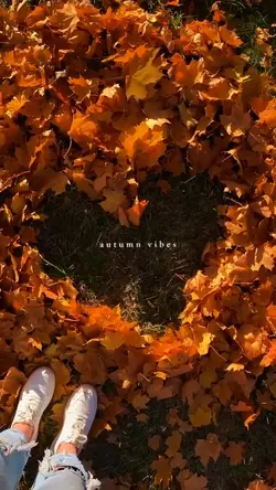 autumn vibes