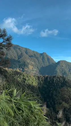 เทสเดินป่า สโลว์+โทน